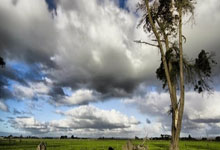 “好房子”专题：文件合集——设计规范、技术指南、技术导则